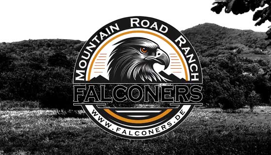 Mountain Road Falconers